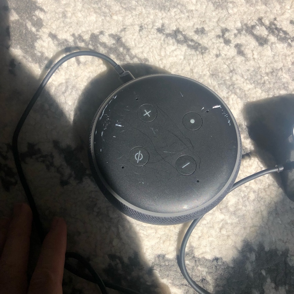 Black Amazon Alexa!